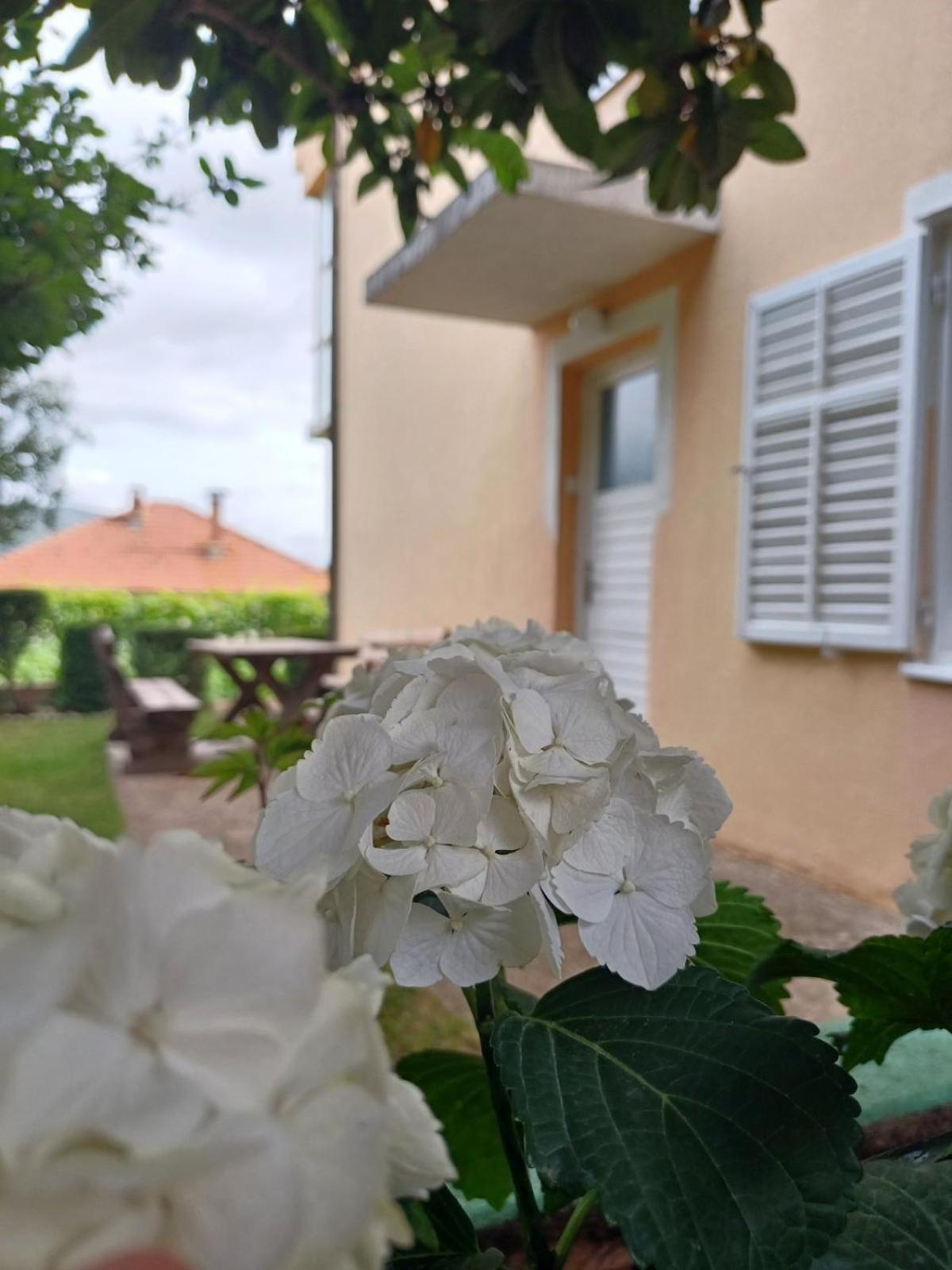 Apartments For Friends Trebinje Zewnętrze zdjęcie